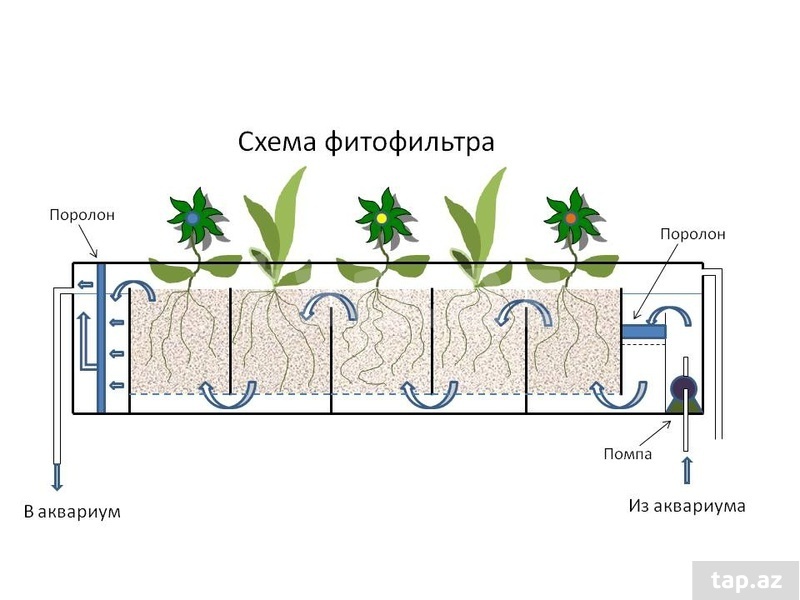 Открытки с днем рождения сваха прикольные Открытки с днем рождения сваха прикольные