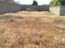 6 sot torpaq, Binəqədi rayonu