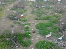 2 sot torpaq sahəsi, Badamdar qəsəbəsi