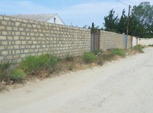 12 sot torpaq sahəsi, Görədil qəsəbəsi