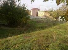 6 sot torpaq sahəsi, Novxanı qəsəbəsi