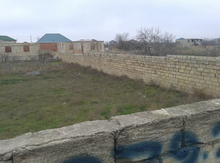 7 sot torpaq sahəsi, Qurd dərəsi
