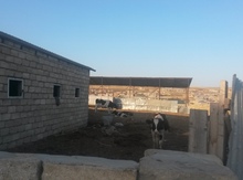 Obyekt, Mehdiabad qəs.