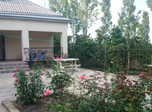 Həyət evi gündəlik kirayə verilir, Nabran r.