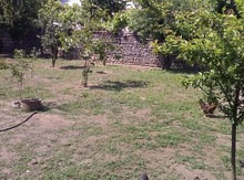 6 sot torpaq sahəsi, Lənkəran ş.
