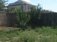 3 sot torpaq sahəsi, Saray bağları