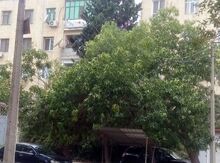 5-комн. квартира, Наримановский р., 105 м²