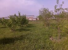 115 sot torpaq sahəsi, Xaçmaz r.