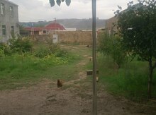 7 sot torpaq sahəsi, Binəqədi r.