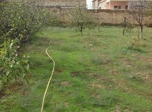 4 sot torpaq sahəsi, Hökməli qəs.