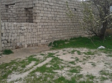 2 sot torpaq sahəsi, Əmircan qəs.