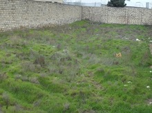 6 sot torpaq sahəsi, Binəqədi r.