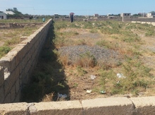 12 sot torpaq sahəsi, Yaşma