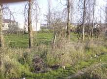 5 sot torpaq sahəsi, Şabran r.