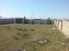 6 sot torpaq sahəsi, Zirə qəs.