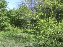 Земельный участок 12 сот, Гахский р.