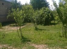 10 sot torpaq sahəsi, İsmayıllı r.