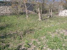 8 sot torpaq sahəsi, Nabran qəs.
