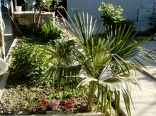 5-otaqlı mənzil, Ağsu ş., 135 m²
