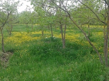 40 sot torpaq sahəsi, Göyçay r.