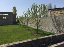 7 sot torpaq sahəsi, Xaçmaz r.