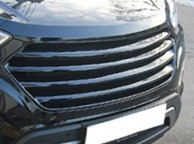 "Hyundai Santa Fe" radiator baqmaqlığı