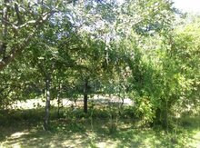 Həyət evi, Qax ş.