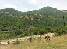 60 sot torpaq sahəsi, Balakən r.