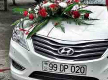 Avtomobil qeydiyyat nişanı - 99-DP-020