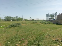 8 sot torpaq sahəsi, Xudat r.