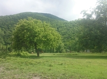 4 sot torpaq sahəsi, Qax r.
