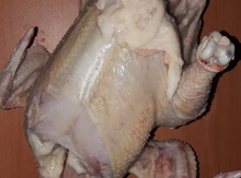 Toyuq əti
