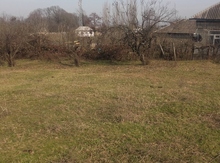 25 sot torpaq sahəsi, Lənkaran r.