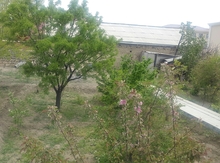 7.5 sot torpaq sahəsi, Naxçivan ş.