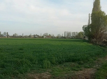 400 sot torpaq sahəsi, Xaçmaz r.