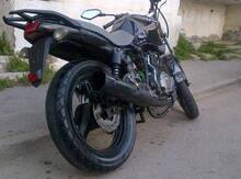 Zontes Sport, 2012