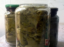 Üzüm yarpaqları