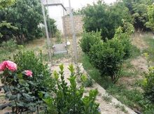 Həyət evi, Binə qəs.