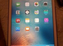 Apple iPad