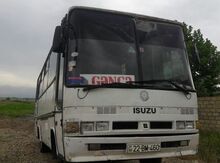 İzusu, 1994 il