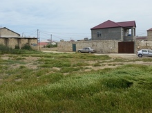 11 sot torpaq sahəsi, Saray qəs.