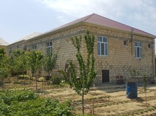 Həyət evi, Saray qəs.