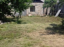Həyət evi, Oğuz r.