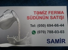 Süd