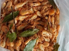 Krevetka