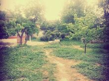 3 sot torpaq sahəsi, Mingəçevir ş.