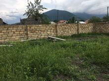 4 sot torpaq sahəsi, Zaqatala r.