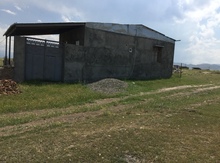 Həyət evi, Gəncə ş.