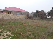 6 sot torpaq sahəsi, Novxanı qəs.