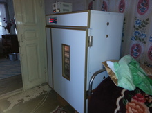 Inkubator